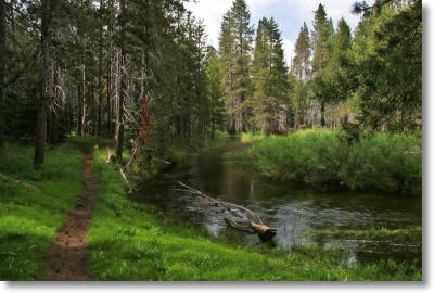 Bridalveil Creek and trail