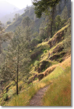 Hite Cove trail