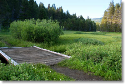 McGurk Meadow footbridge