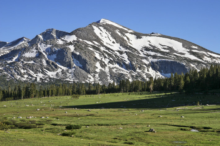 Dana Meadows and Mammoth Peak at Tioga Pass