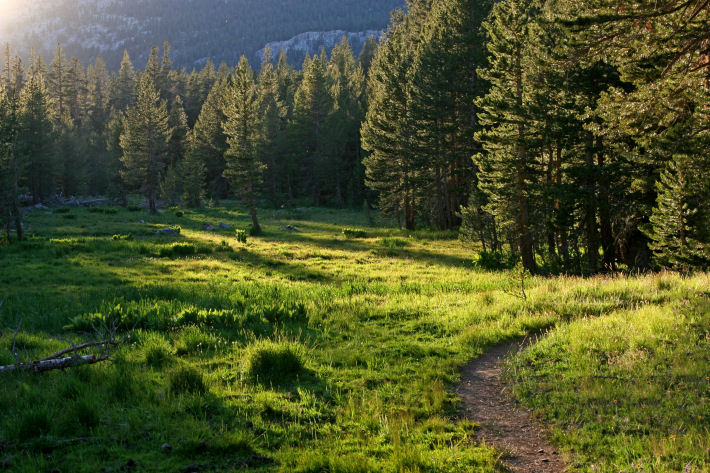 meadow along the Mono Pass trail in Yosemite Park at sunset