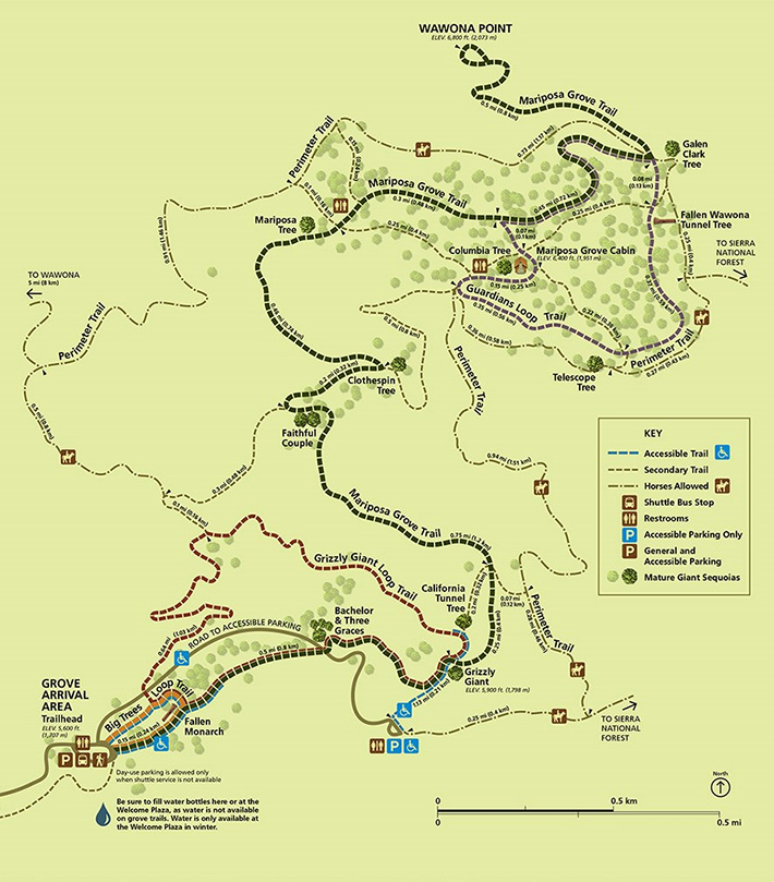 Trail map of the Mariposa Grove, Yosemite National Park