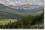 Dana Meadows, Yosemite National Park