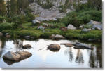 Wildflowers and Granite Lakes, Yosemite National Park