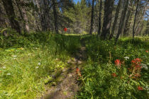 Westfall Meadow pano section