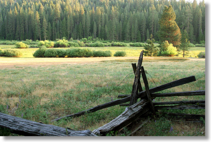 Wawona Meadow near the loop trail's clockwise trailhead