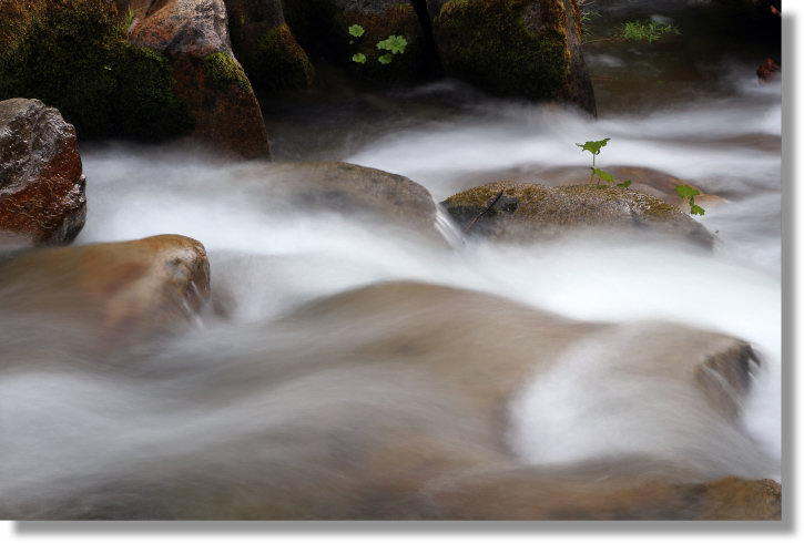 South Fork of the Tuolumne River below Carlon Falls