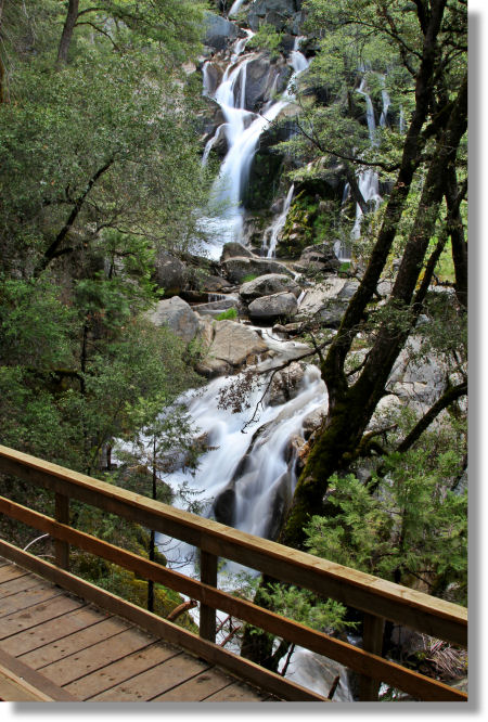 The viewing platform at Corlieu Falls, Lewis Creek Trail