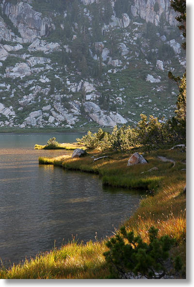 Looking south along the Elizabeth Lake shoreline to the opposite shore to Cockscomb