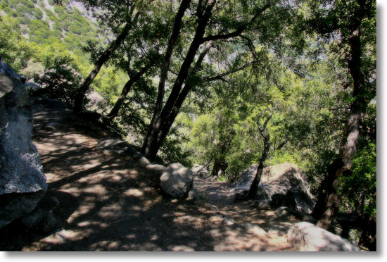 The fork leading to the Lower Yosemite Falls Overlook