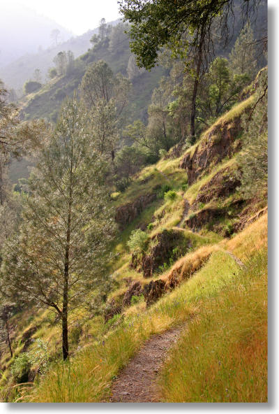 Hite Cove trail, late afternoon