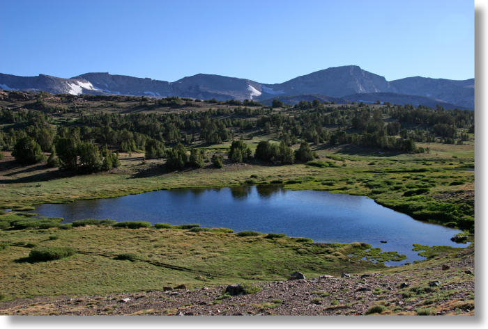 pond and meadow at Mono Pass