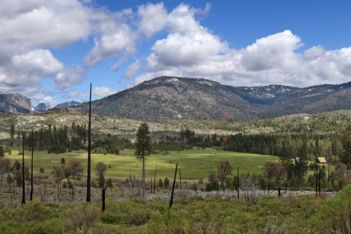 Big Meadow, Foresta, with El Capitan and Half Dome visible in the background