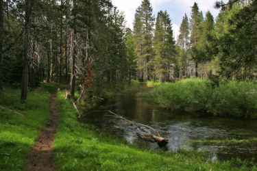 Bridalveil Creek and trail