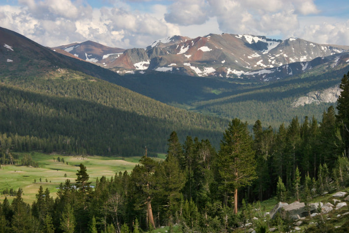 Dana Meadows, Yosemite National Park