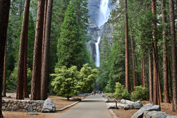 Lower Yosemite Fall trailhead