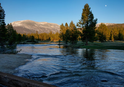 Looking up the Tuolumne River from the Lyell Canyon trail