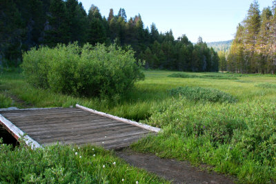 McGurk Meadow footbridge