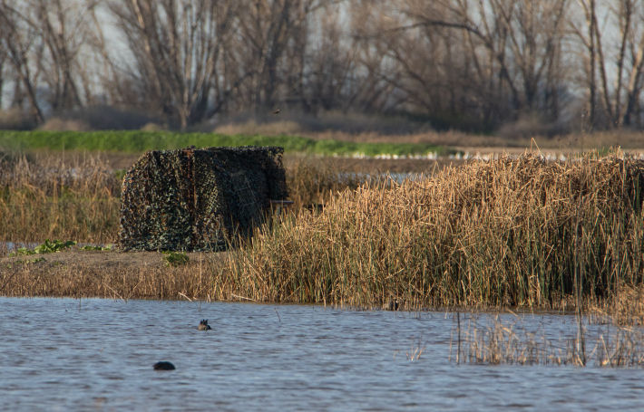 Photo blind at the Merced National Wildlife Refuge