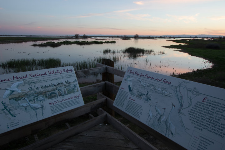 View from the northwest viewing platform at the Merced National Wildlife Refuge