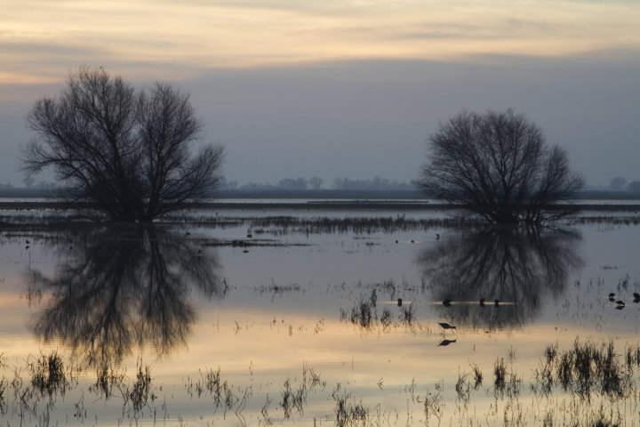 The Merced National Wildlife Refuge shortly before sunset