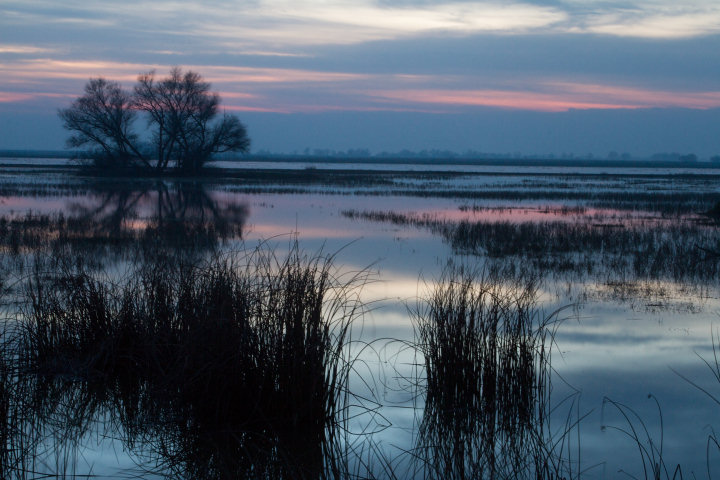 Twilight at the Merced National Wildlife Refuge