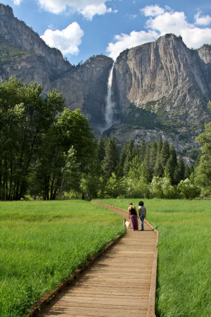 Sentinel Meadow boardwalk and view to Yosemite Falls
