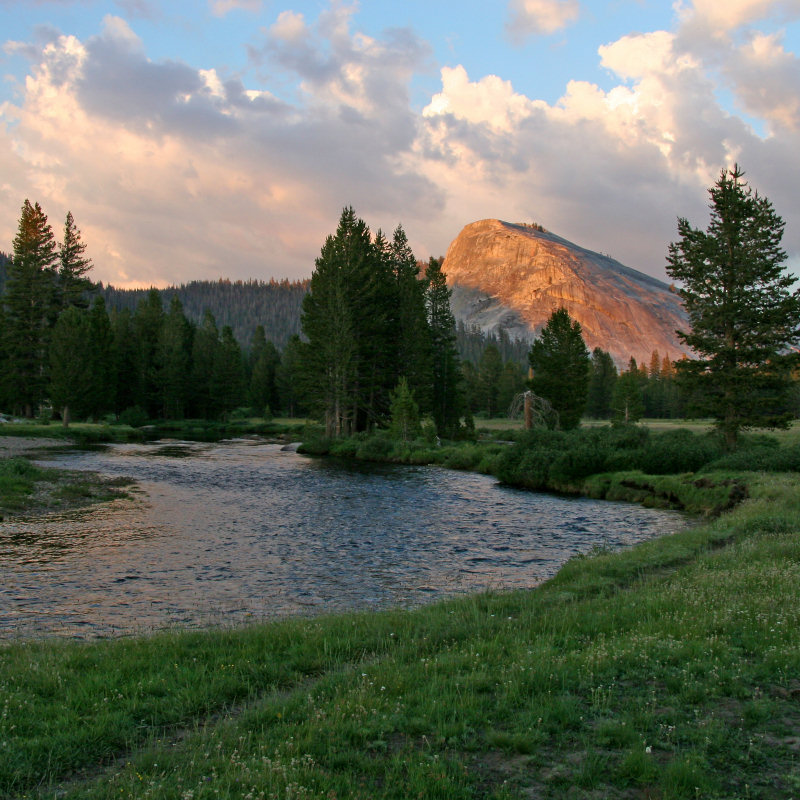 Are Dogs Allowed In Tuolumne Meadows