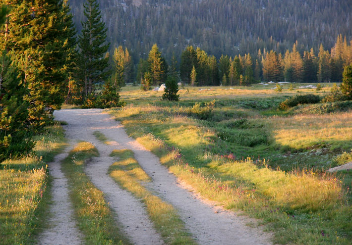 Tuolumne Meadows Central Trailhead at Sunset