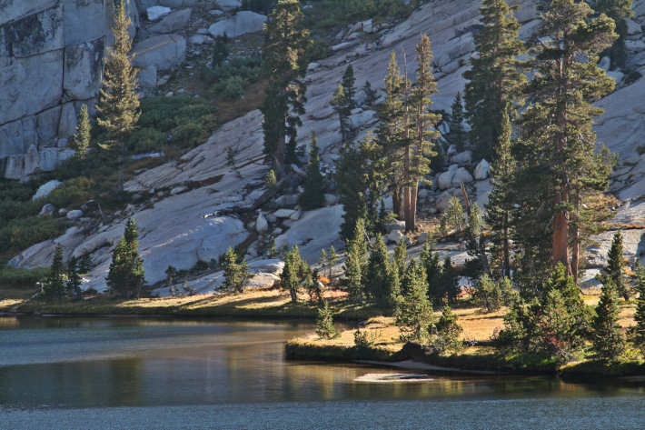 The western shore of Upper Cathedral Lake, Yosemite Park