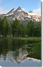 Tuolumne Meadows and Cathedral Peak