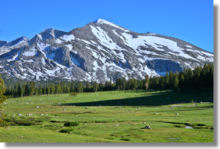 Dana Meadows and Mammoth Peak