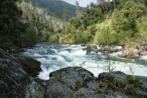 Merced River along the Hite Cove Trail (thumbnail)