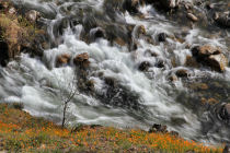 Merced River along Hite Cove Trail (thumbnail)