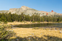 dana meadows panorama section