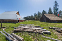 foresta meadow panorama section