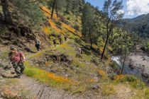 Hite Cove Trail panorama section