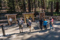 mariposa grove arrival area panorama section