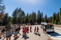 mariposa grove welcome plaza panorama section