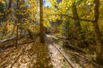 mirror lake panorama section