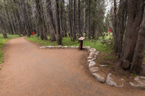 Tenaya Lake panorama section