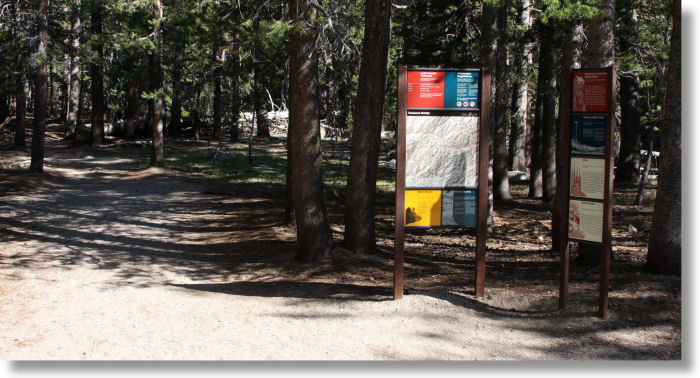 Trail Fork early in the Lyell Canyon Trail, Yosemite National Park