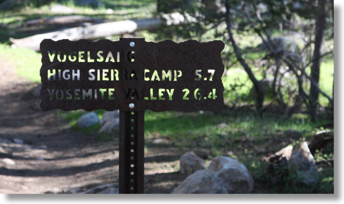 Trail-Fork Sign Tempting You Away from the Lyell Canyon Trail