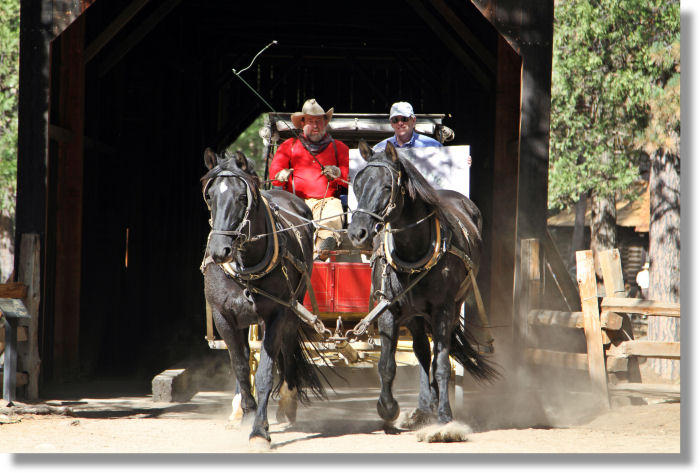 stagecoach crossing the covered bridge at the Wawona Pioneer History Center